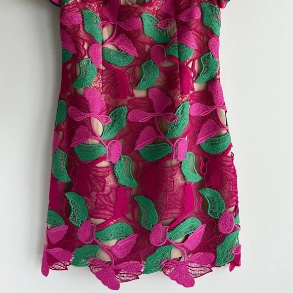 Milly Appliqué Lace Dress size 4 NWT - Picture 6 of 6